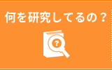 何を研究してるの？